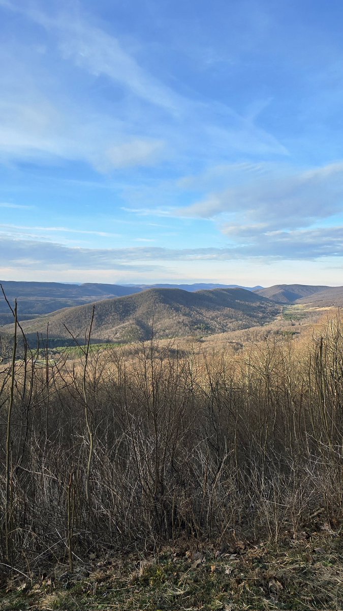 Bipolar Recorder Project tweet media