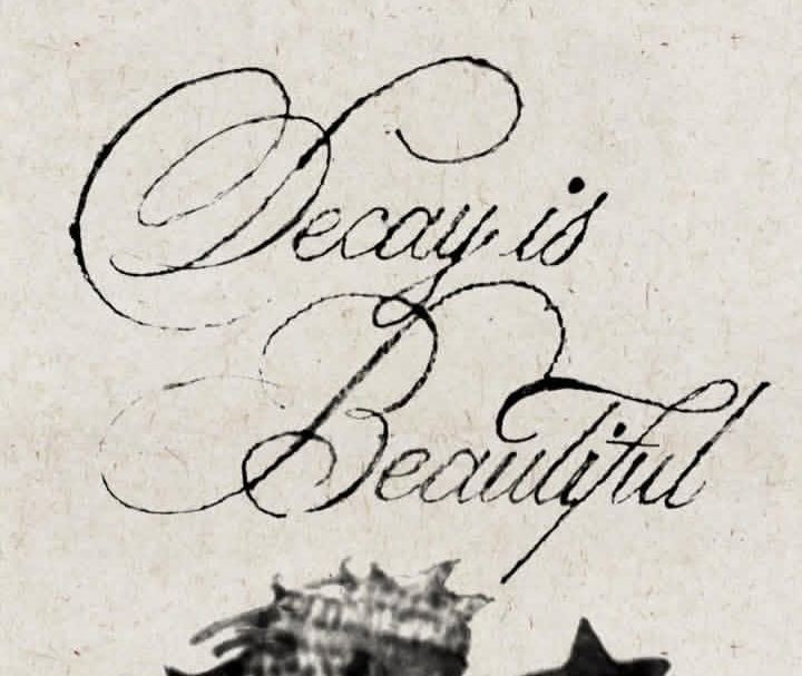 ♱ . ݁₊ 𝓨ves ⋆ ݁. tweet media