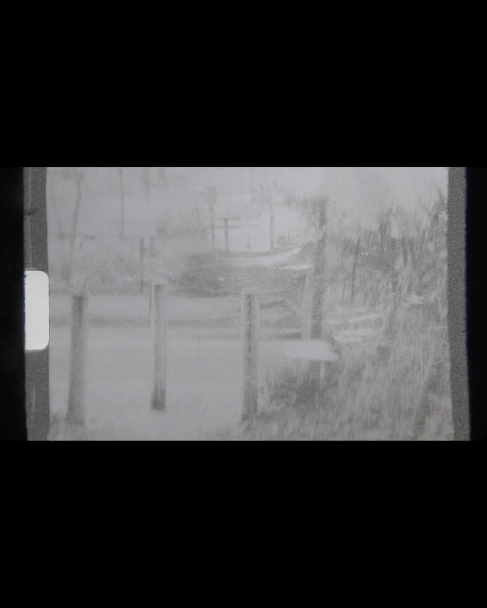 金村修 Osamu Kanemura tweet media