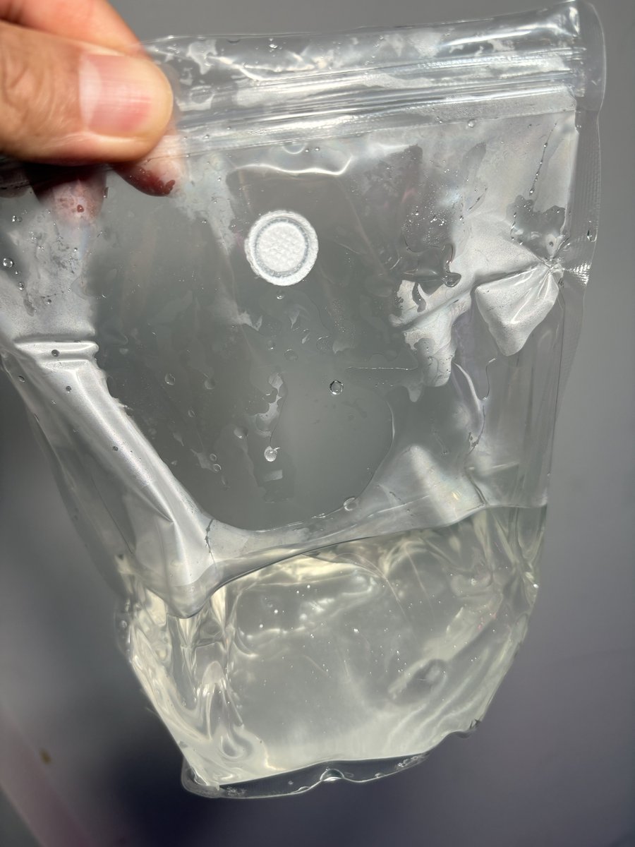 TheGAKI @日常やプライベートや培養 tweet media