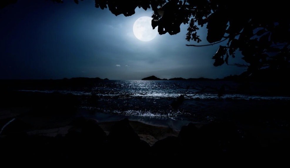 Moon Light (@MoonLightguyd) / Posts / X
