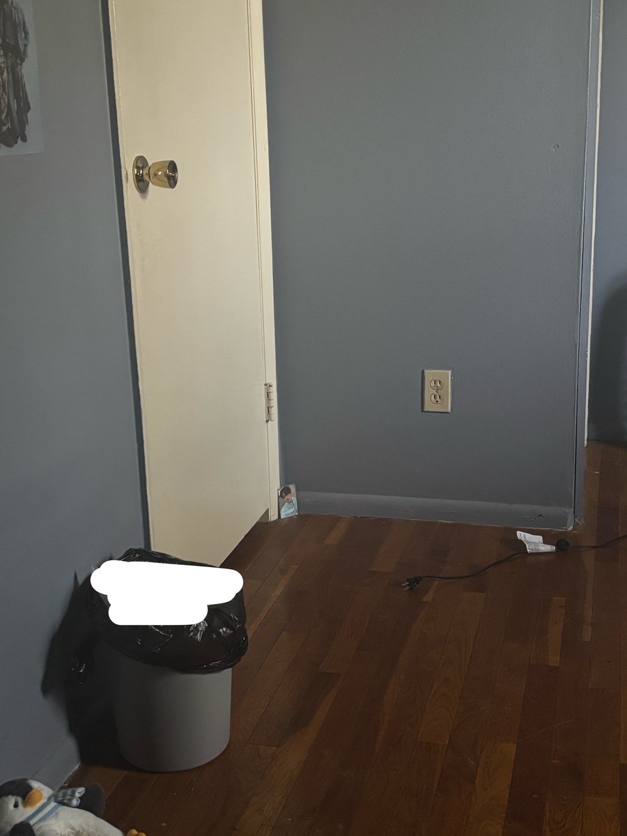 ️Ema 🐈 | 7 tweet media