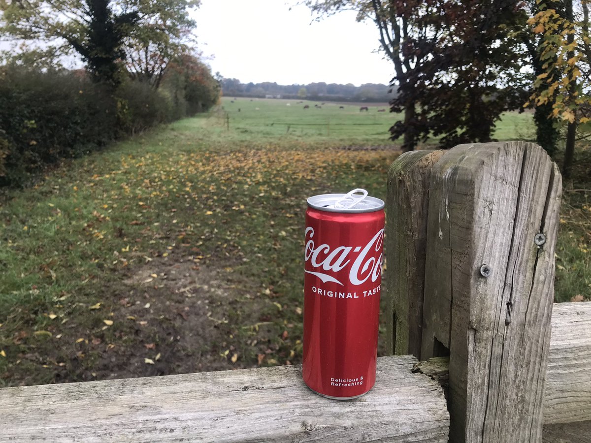 FrogSlimey's tweet photo. @startedabin ….. can enjoying the view #startedabin https://t.co/fVTvVQjiBV