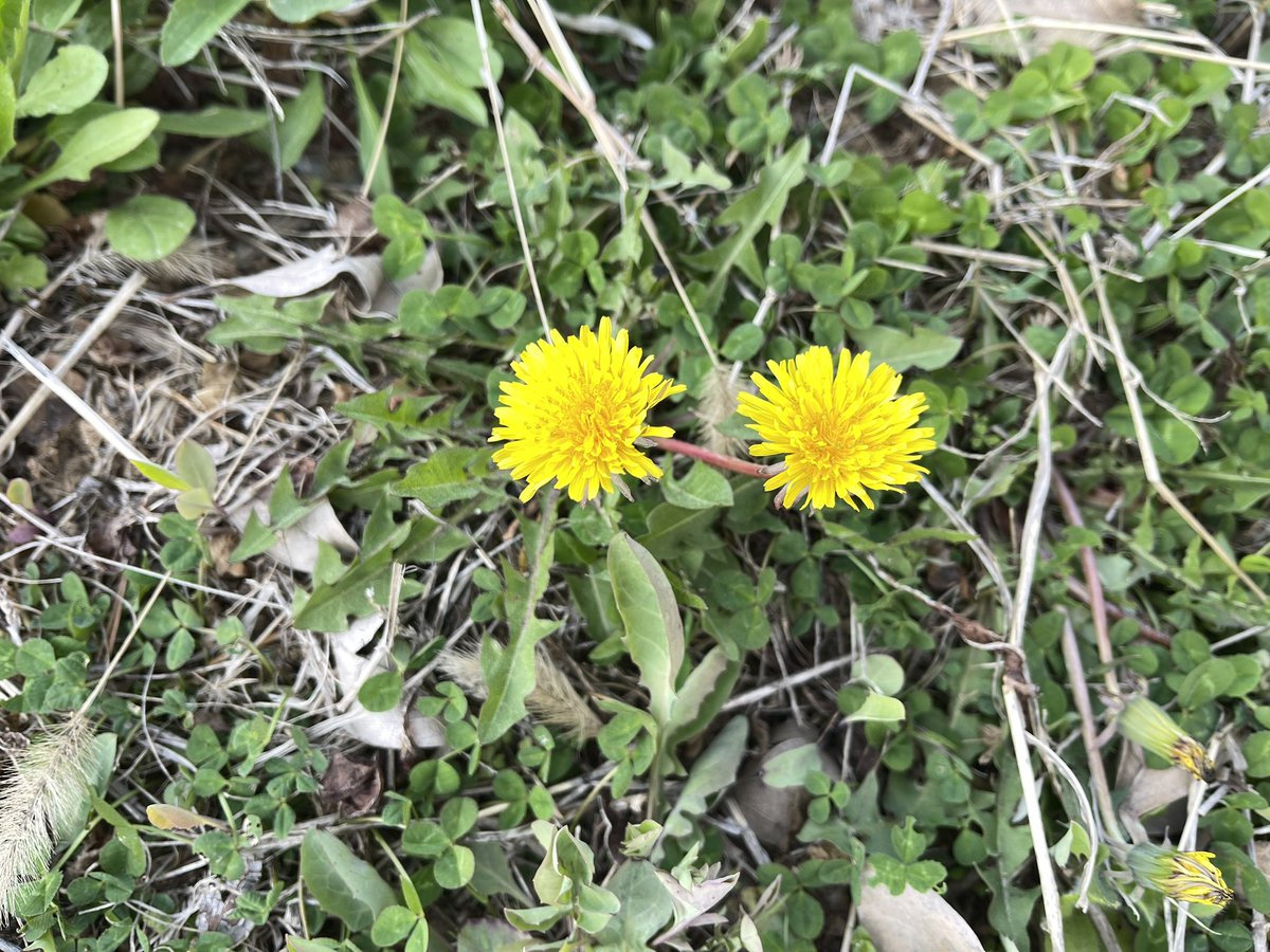 한미소 tweet media