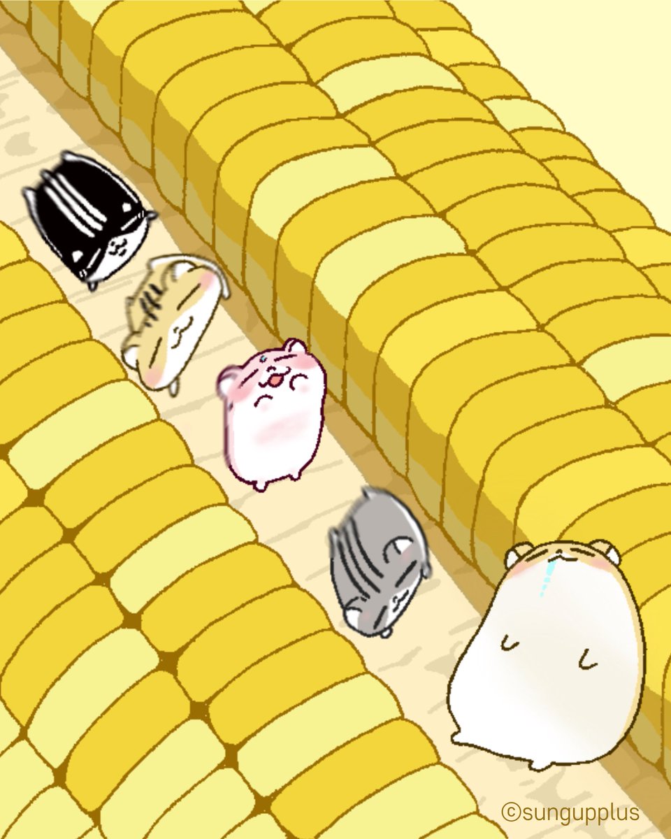 (주)성업플러스 공식 채널 tweet media