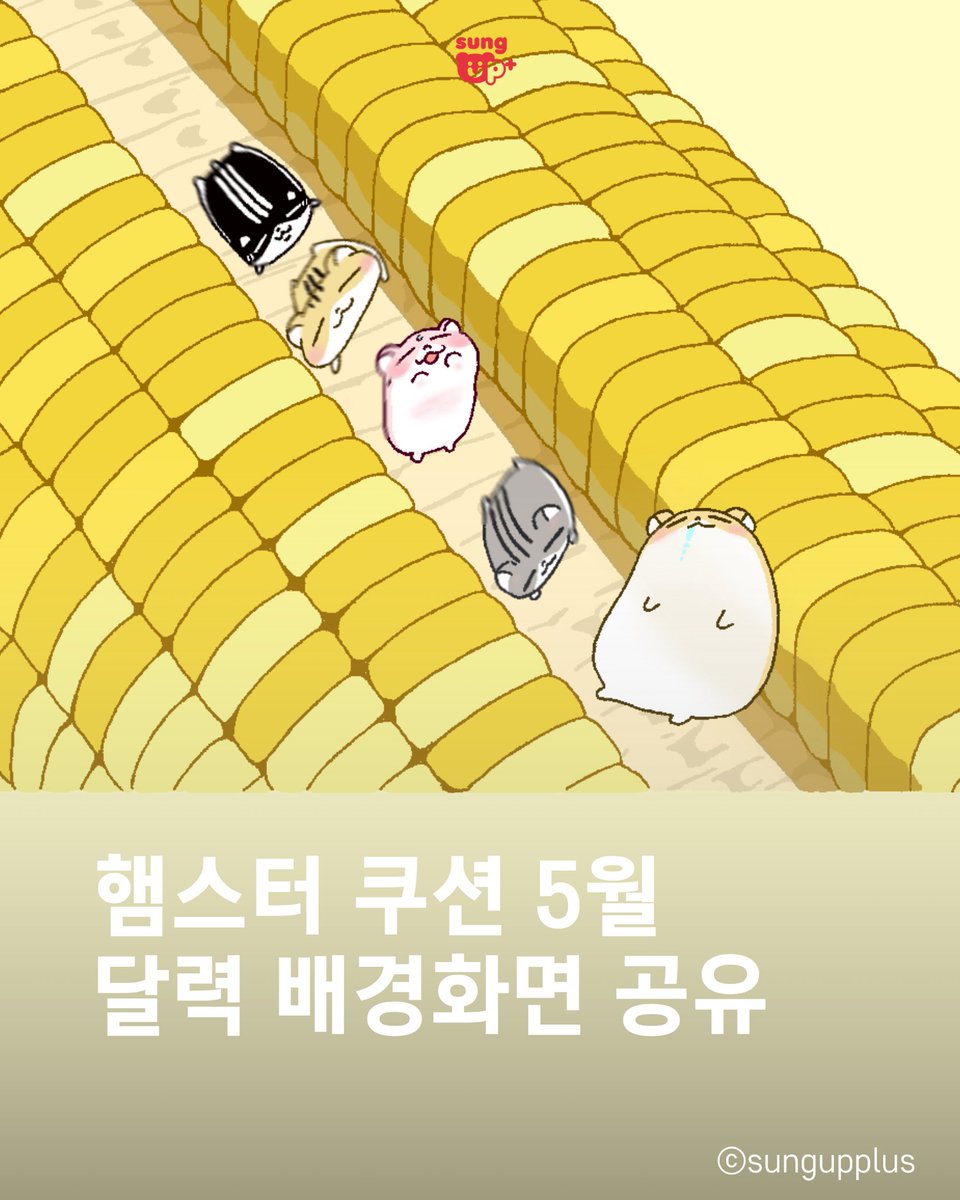 (주)성업플러스 공식 채널 tweet media