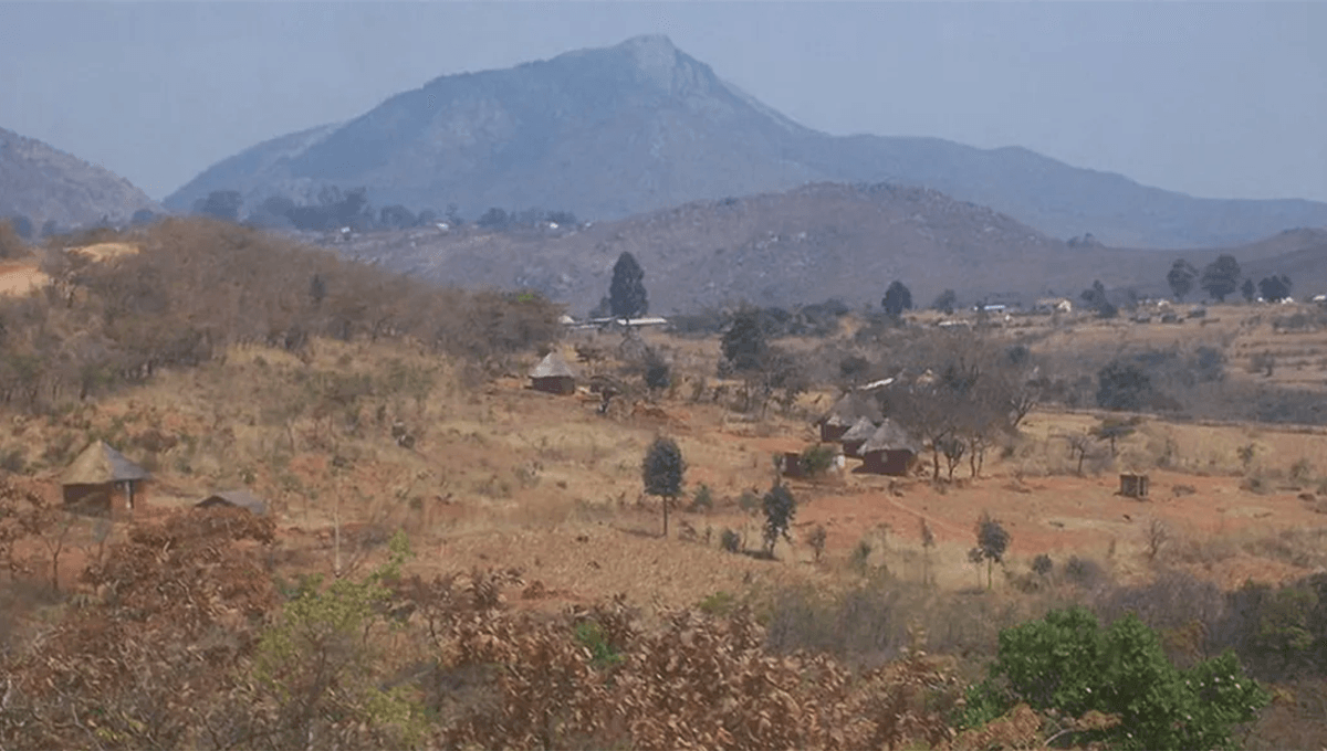 Stunning Revelations tweet media