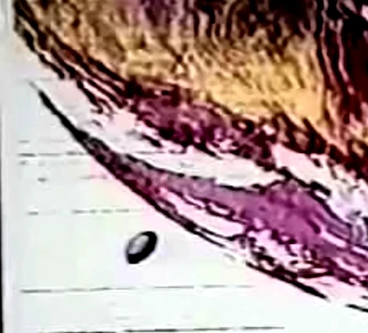 Stunning Revelations tweet media