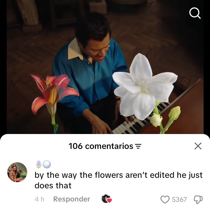 cata 🪩 tweet media