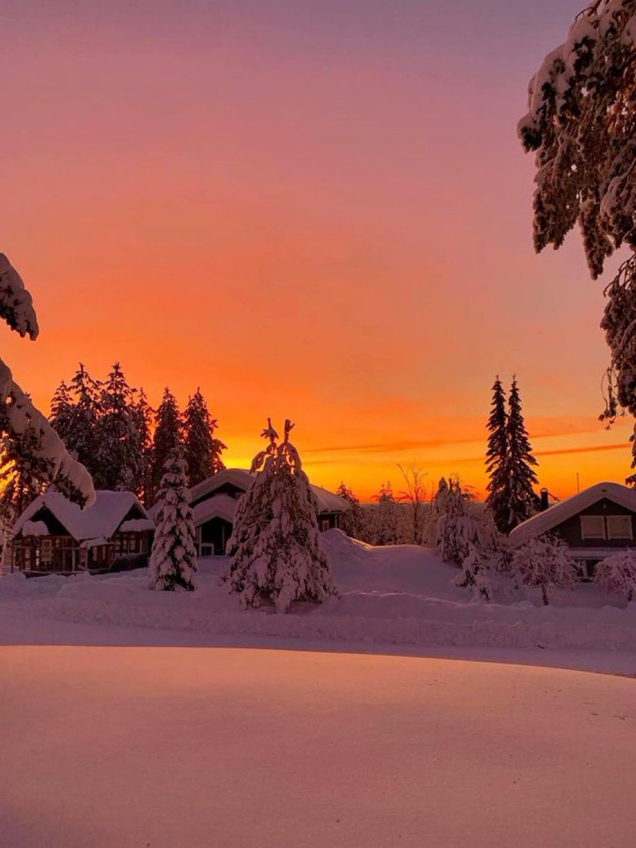 purenature_1's tweet image. Snowy sunset ❄️☀️🩵 #NatureLovers