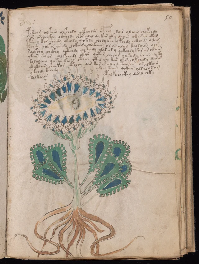 Stunning Revelations tweet media