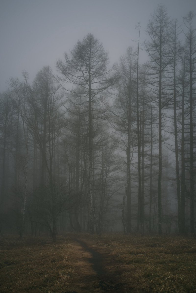 高木康行/YasuyukiTakaki tweet media