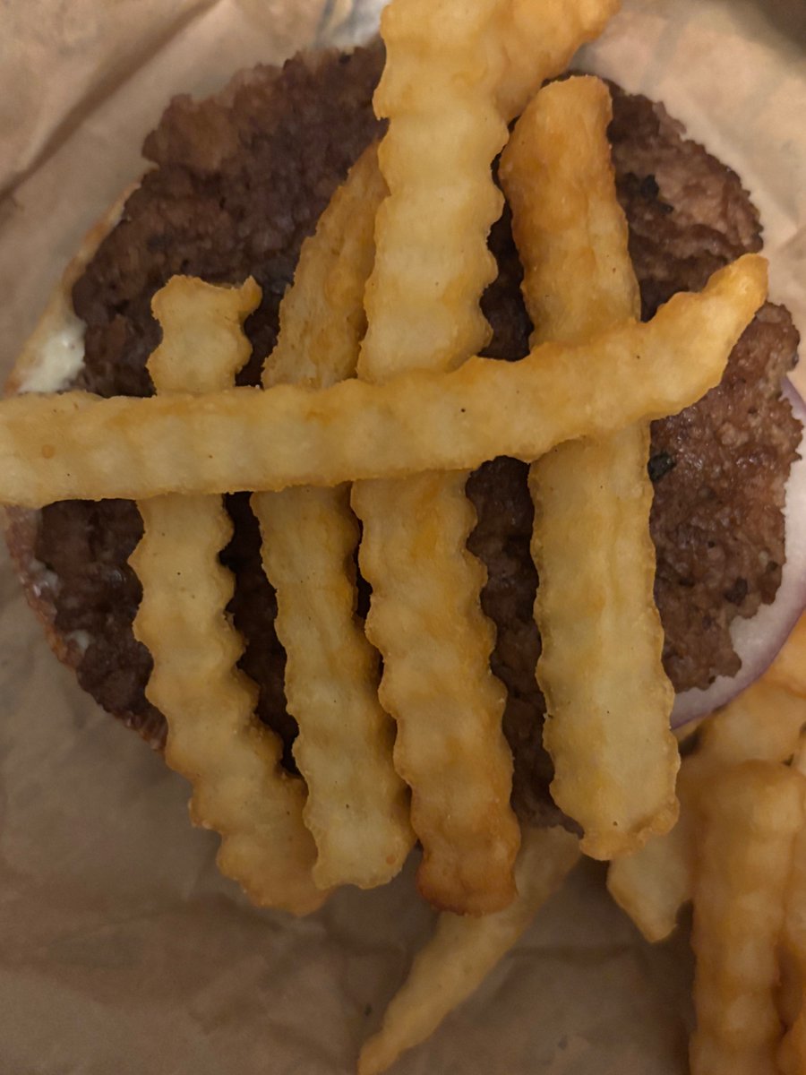 Chaya aka Cooper Hoffman’s Beard tweet media