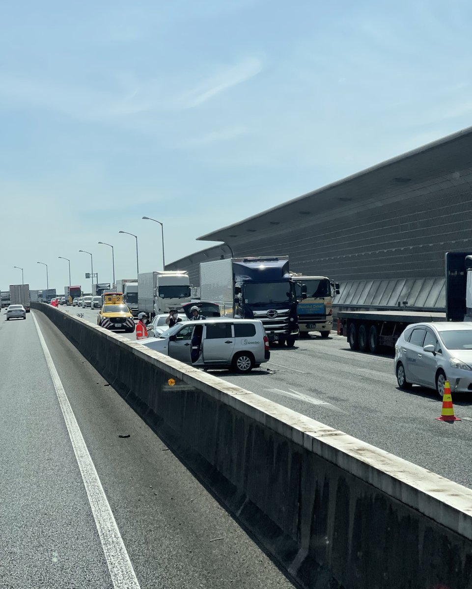 りゅーへー🐾 tweet media