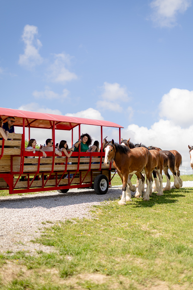 Warm Springs Ranch tweet media