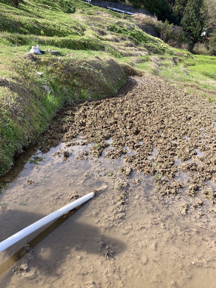 今日の白米千枚田@愛耕会 tweet media