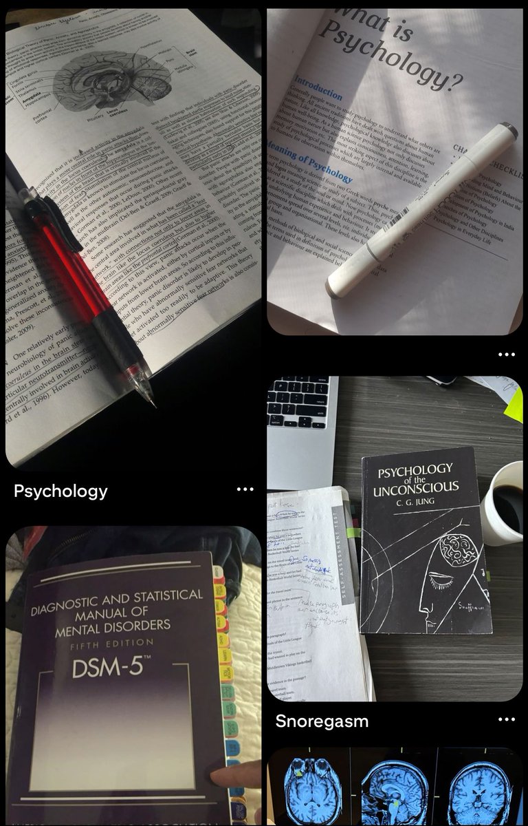 jurídico hudson williams tweet media