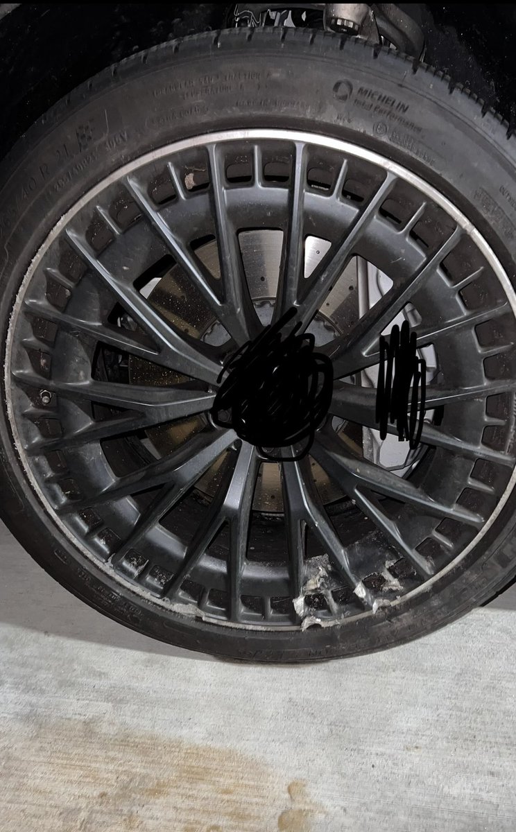 Riss ✨🌙 tweet media