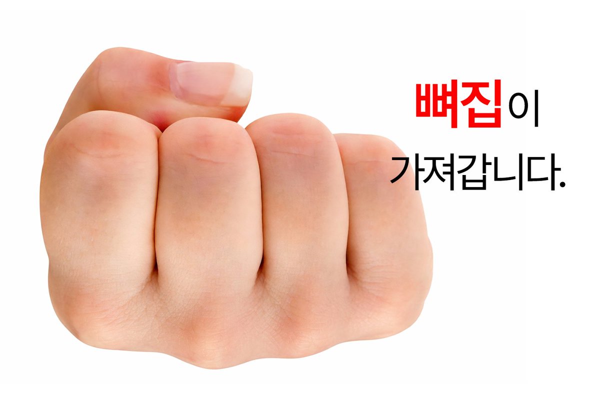 뼈맞는집 tweet media