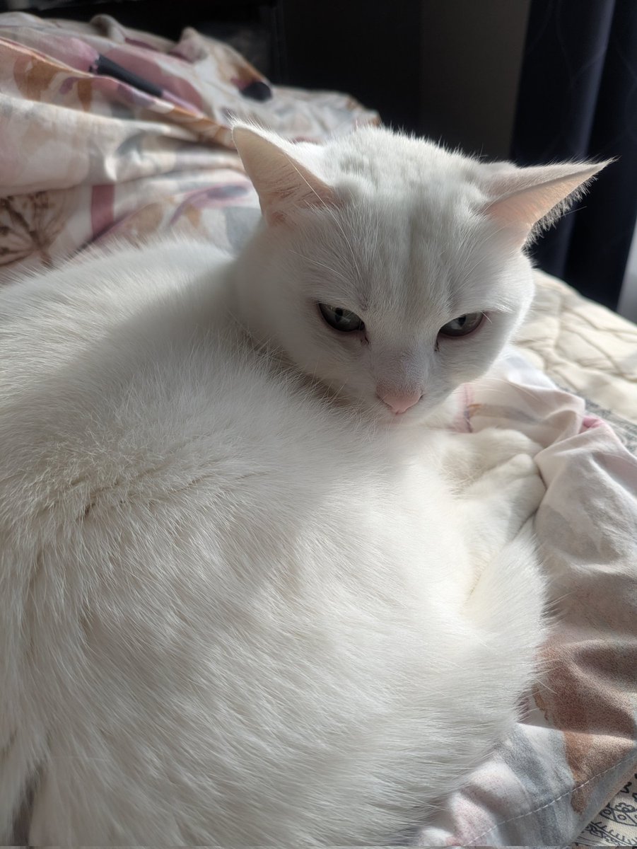 彩ひでCAMP⛺ tweet media