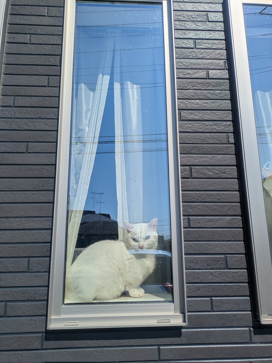 彩ひでCAMP⛺ tweet media