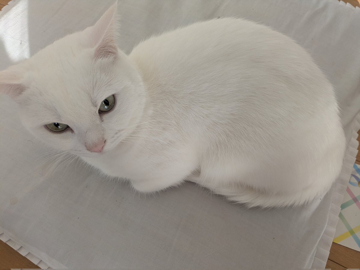 彩ひでCAMP⛺ tweet media