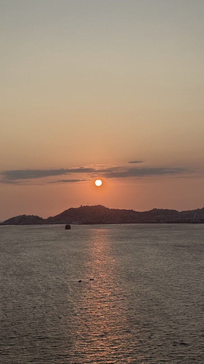 Rebeca Serio tweet media