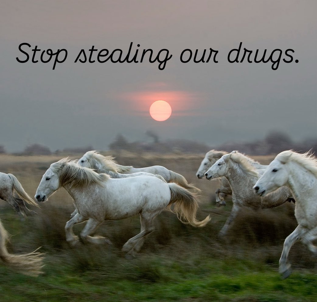 DEATH DASHER tweet media