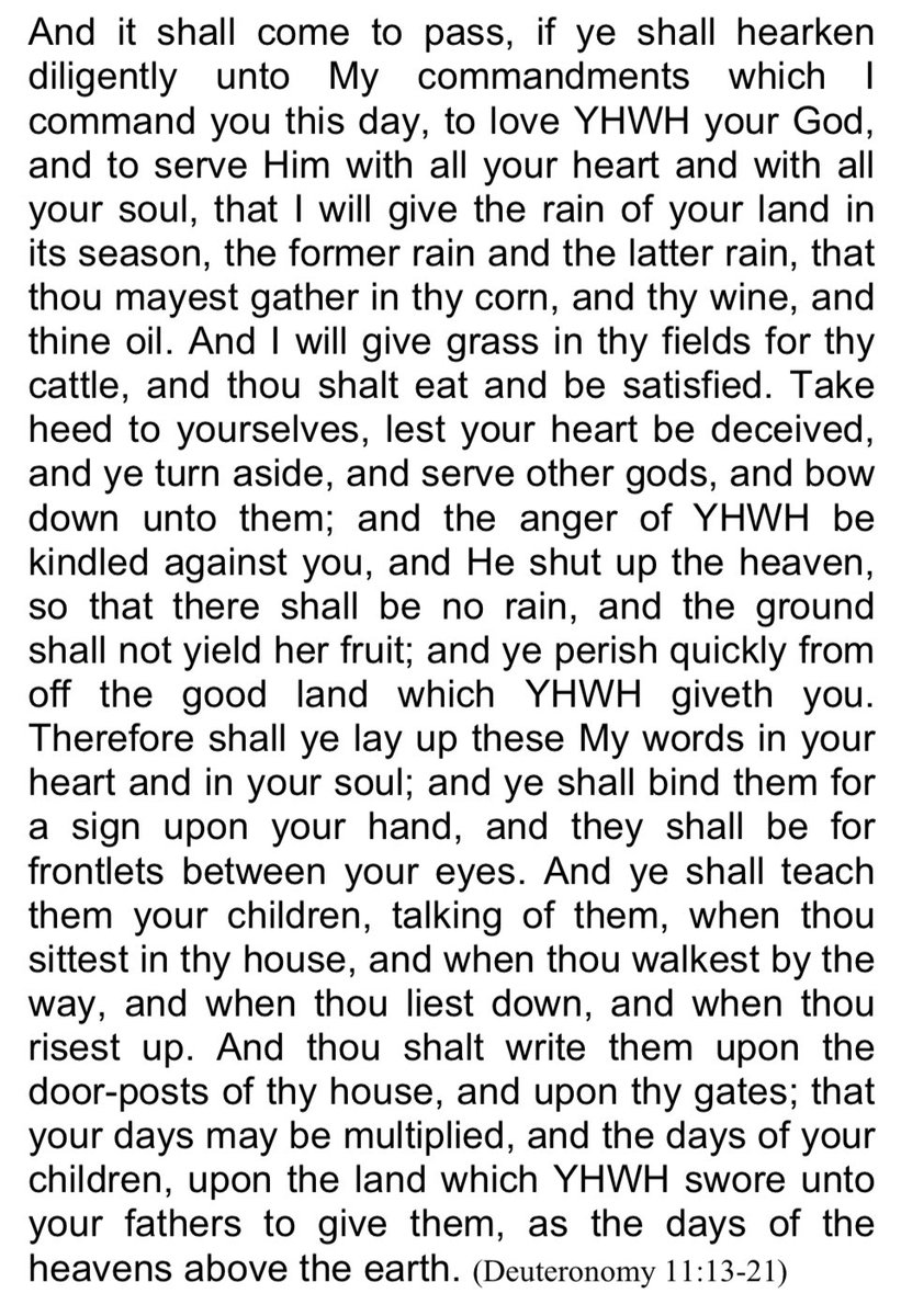 Federation of Torah Jews tweet media