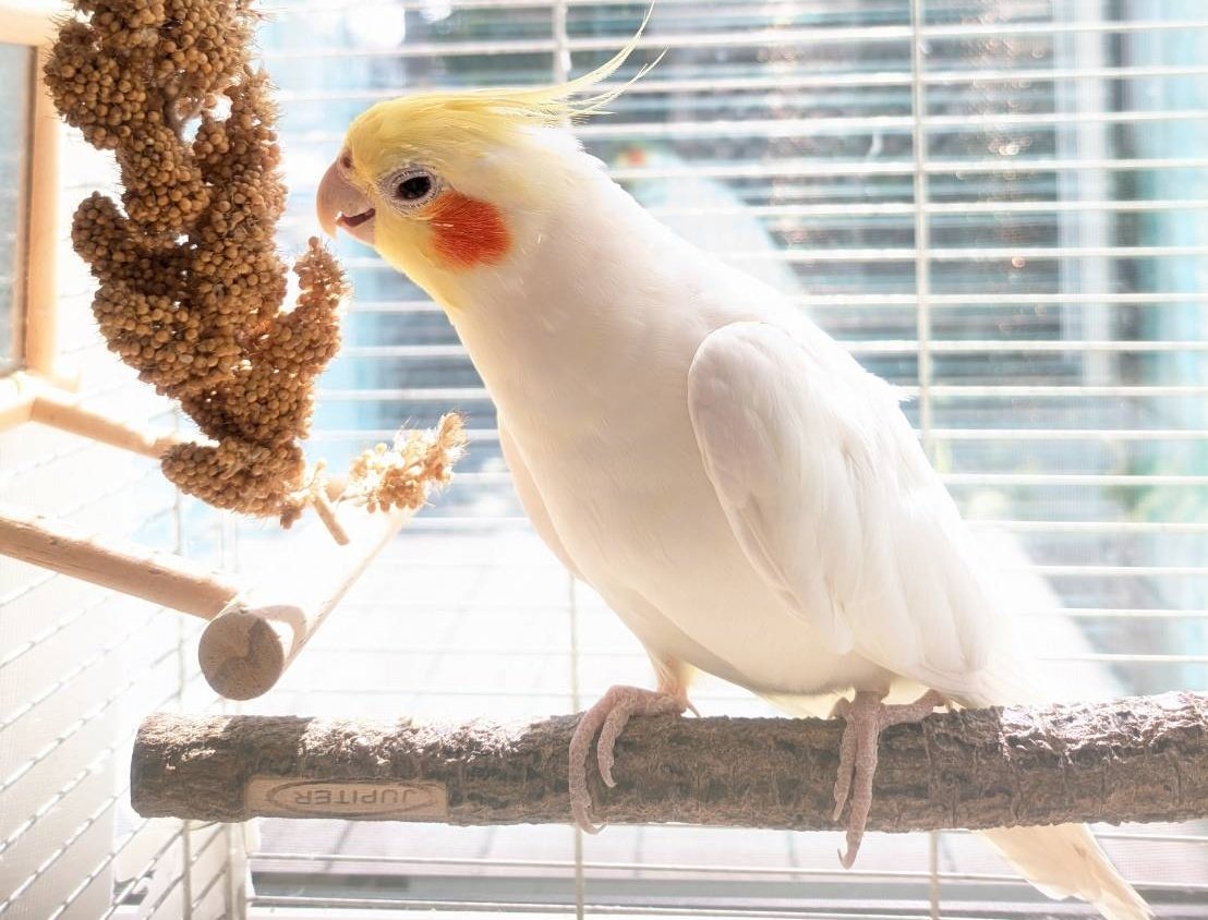 ポイ活レディ✨(@懸賞xお得x投資) tweet media