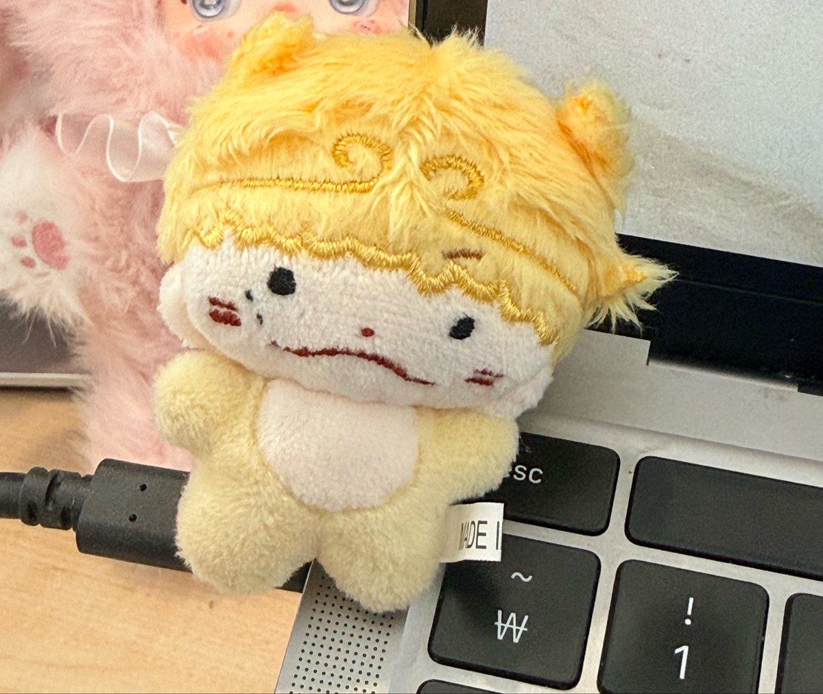 김토끼 tweet media