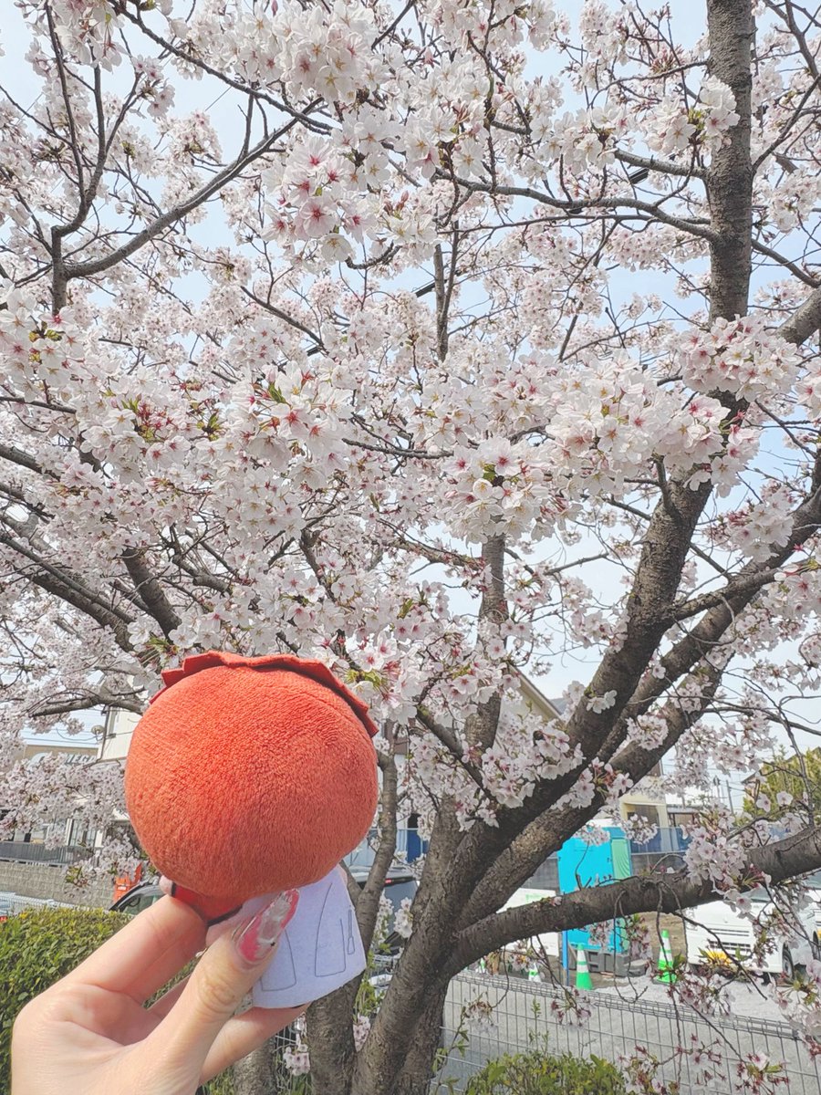 うさき tweet media