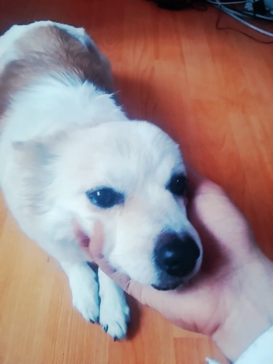 NOVA＠4월11 봄.없.라 tweet media