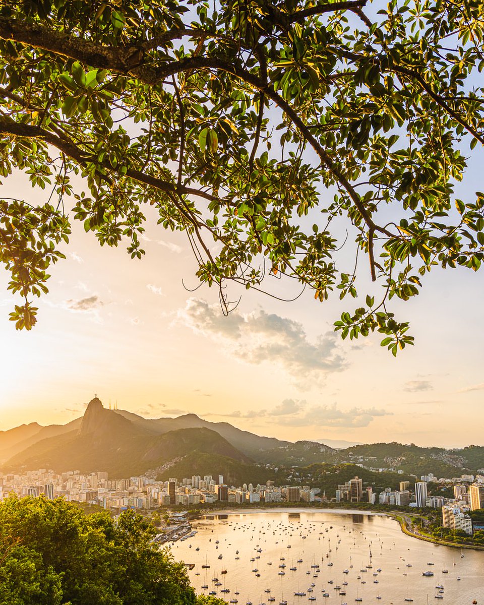 SeascapeNature's tweet photo. Rio de Janeiro, Brazil 🇧🇷 https://t.co/Gb03DP7g3n