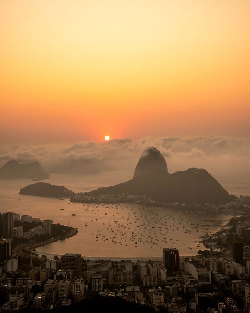 SeascapeNature's tweet photo. Rio de Janeiro, Brazil 🇧🇷 https://t.co/Gb03DP7g3n