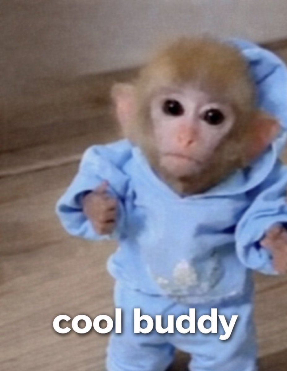 พี่เอง กลิ้งหลุนๆ | enhypen is 7 (fan account) tweet media