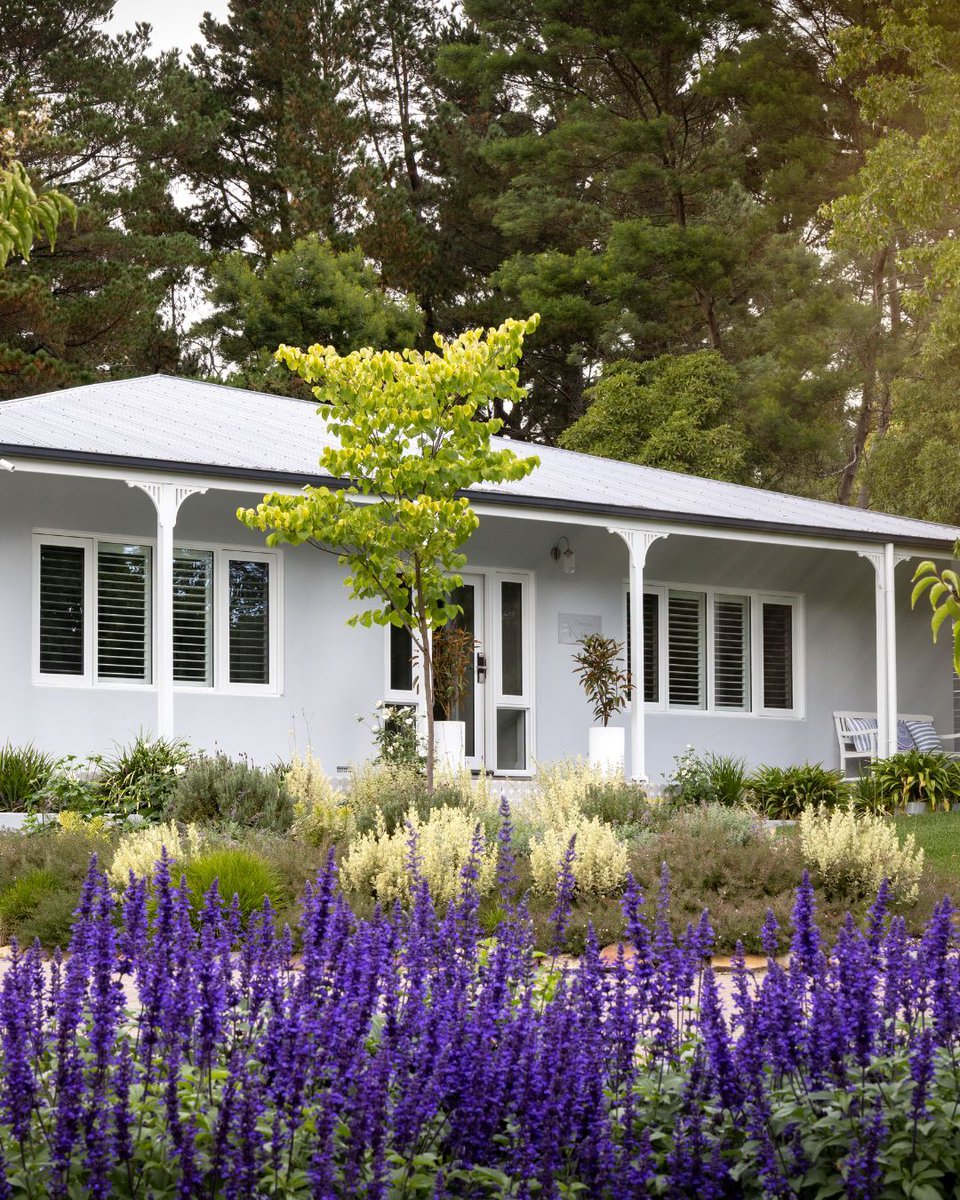 Homely.com.au tweet media