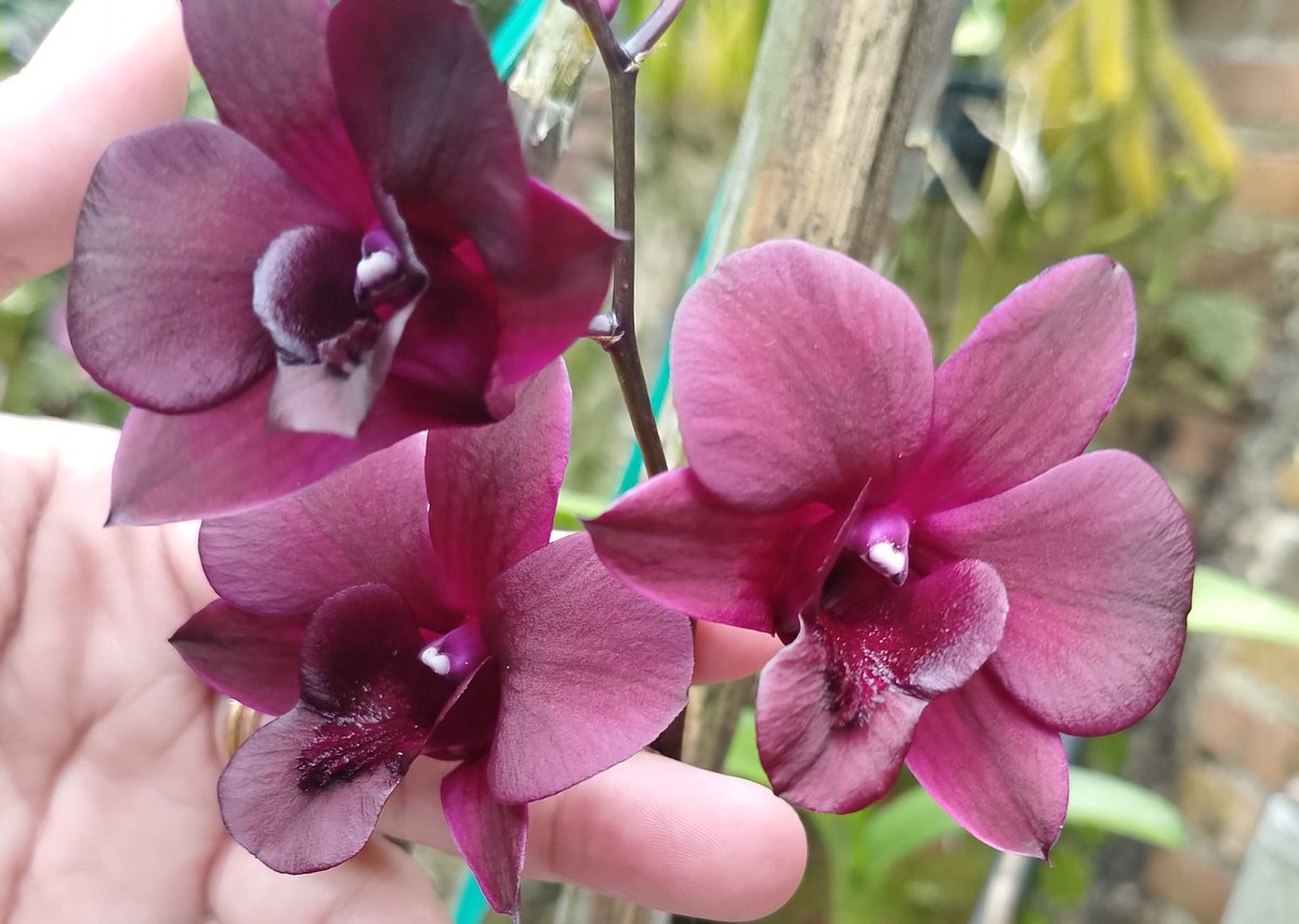 Artha💕 tweet media