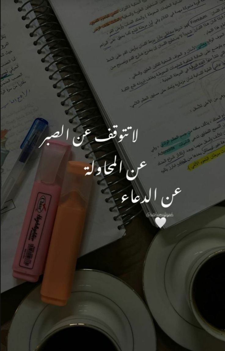 AdelAliBinAli's tweet photo. وَأَنَّ سَعْيَهُ سَوْفَ يُرَىٰ🤍 https://t.co/914wortGud