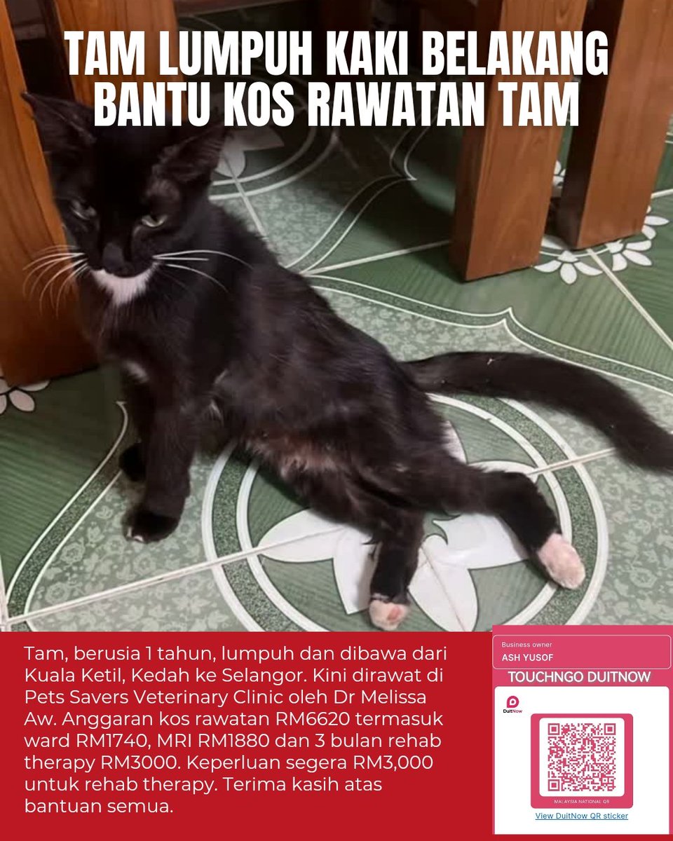 ashyusof11's tweet photo. Nak update latest Tabung Tam.
Saya share link ke detail updates ya

https://t.co/jwiqzDTxTT https://t.co/gBbxRg9fxa