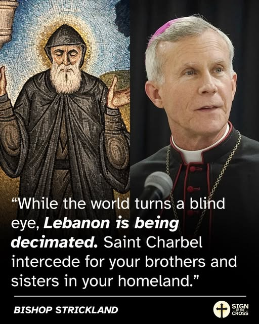 Sr. Mary Joseph Calore, SSCJ (@sscjusa) on Twitter photo 