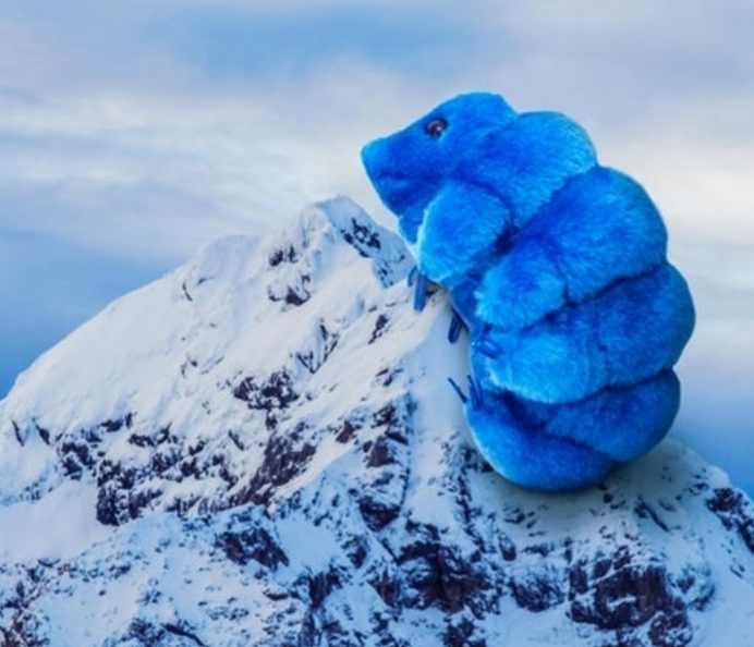 ⋆⭒˚.⋆ZERO⋆⭒˚.⋆ tweet media