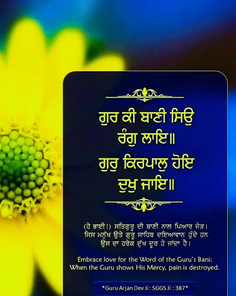 🌹🌹🙏🙏Waheguru ji🙏🙏🌹🌹 #punjab #viral #trending #socialmedia #instagram