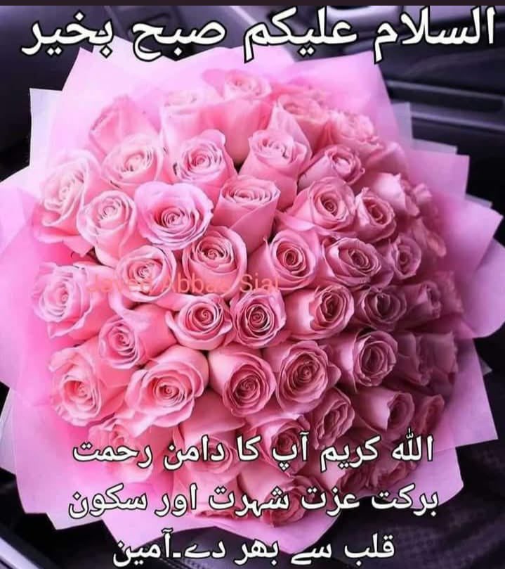 Noor Islam tweet media