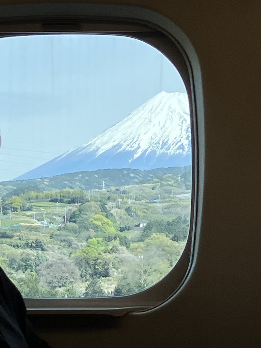 ブラックペッパー@塩派 tweet media