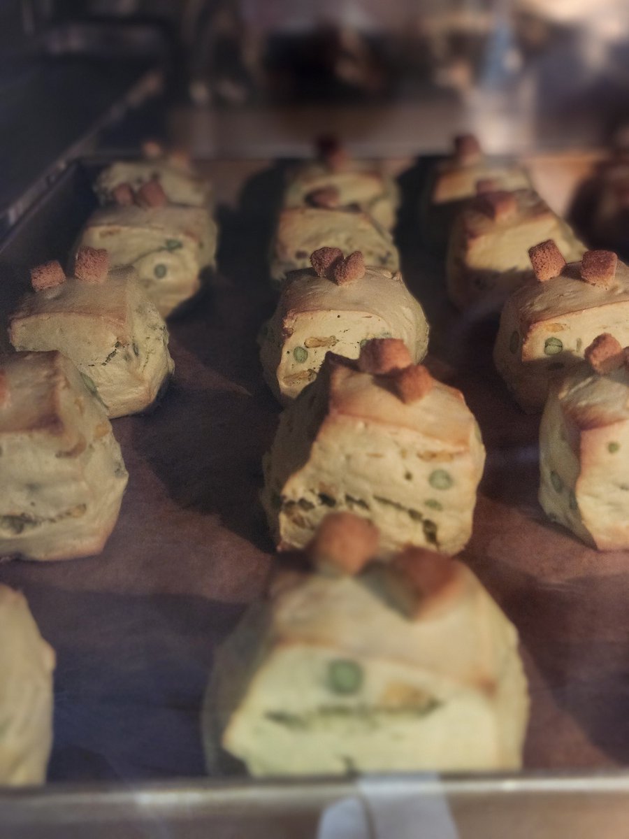 ▽KazuBake▽カズベイク▽妹尾和矢 tweet media