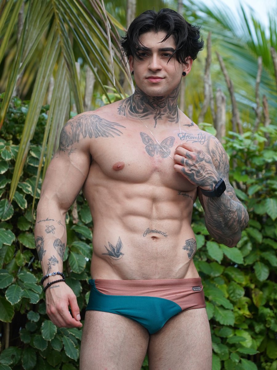 The Horny Bear tweet media