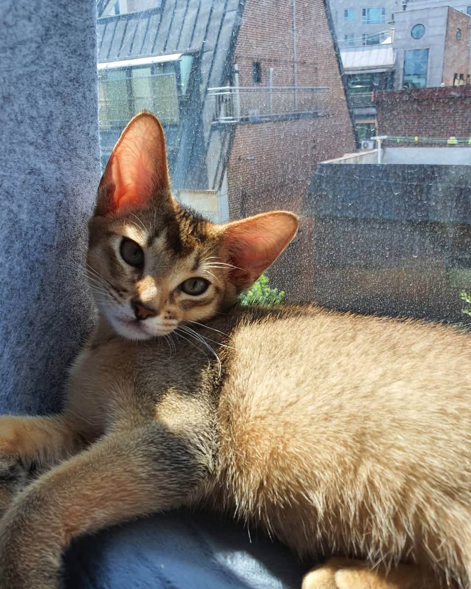 ทุกเสาร์1ทุ่มมีเตนล์•$OLDOUT555🤑 tweet media