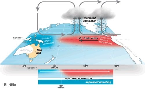 InfoMeteoro's tweet image. 🔴¿QUÉ SE SABE DEL POSIBLE #ElNiño?

-Llegaría en la segunda mitad de 2026, probable en verano
-Las aguas del Pacífico se calentarían rápido
-Intensidad podría ser fuerte (no existe #Godzilla)

❌¿QUÉ NO SE PUEDE DETERMINAR AÚN?
-Efectos concretos en México

✅Entre más lejos