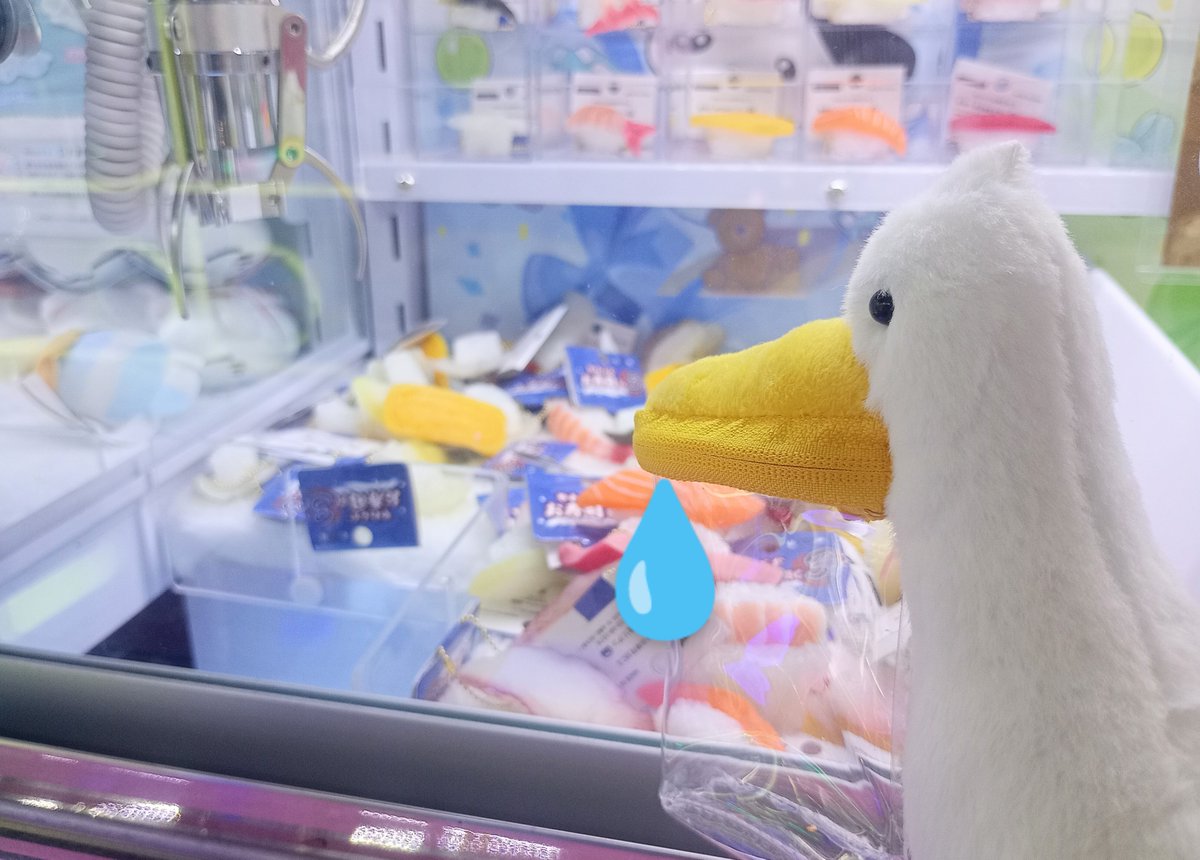 大人気のペリカンのポーチ🕊️ マスコット、ポシェット共に完売致し
